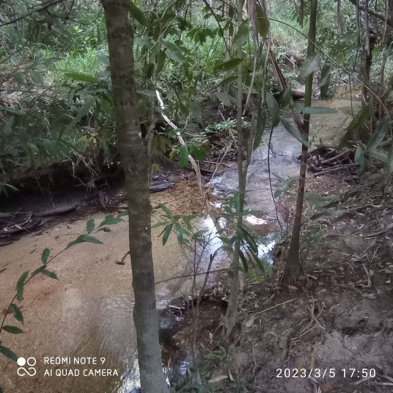 🌿 LINDO SÍTIO COM EXCELENTE CASA - Zona Rural, Alto Paraíso de Goiás [239]