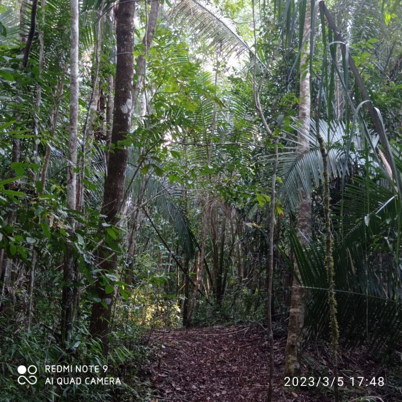 🌿 LINDO SÍTIO COM EXCELENTE CASA - Zona Rural, Alto Paraíso de Goiás [239]