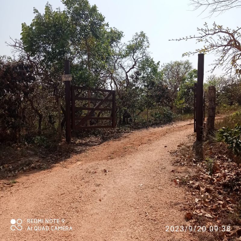 🌿 LINDO SÍTIO COM EXCELENTE CASA - Zona Rural, Alto Paraíso de Goiás [239]