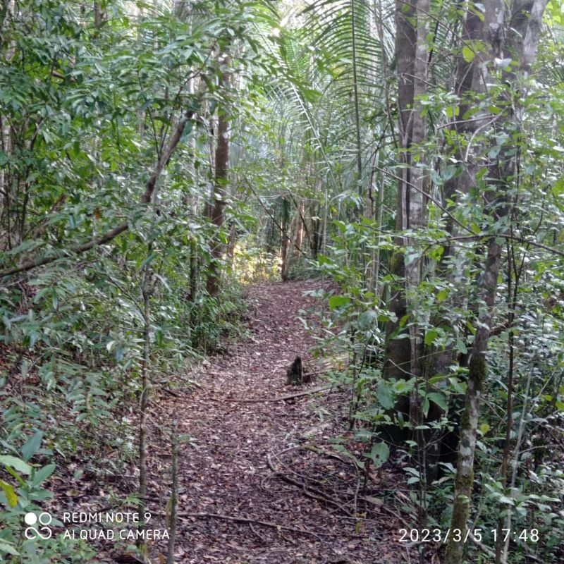 🌿 LINDO SÍTIO COM EXCELENTE CASA - Zona Rural, Alto Paraíso de Goiás [239]