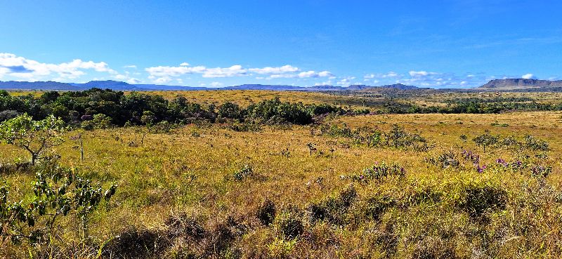 🌿 LINDA GLEBA EM CONDOMÍNIO FECHADO – ALTO PADRÃO - Zona Rural, Alto Paraíso de Goiás [240]