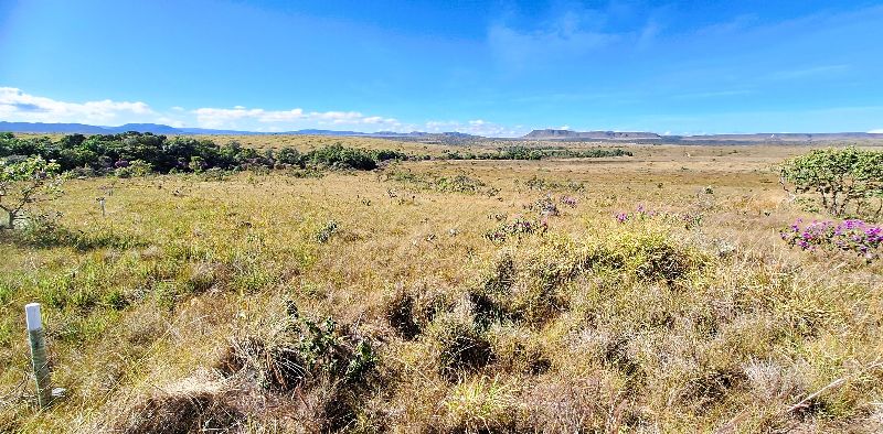 🌿 LINDA GLEBA EM CONDOMÍNIO FECHADO – ALTO PADRÃO - Zona Rural, Alto Paraíso de Goiás [240]