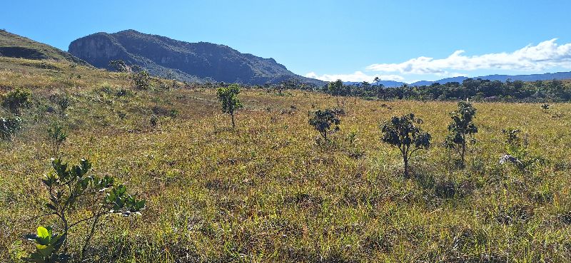 🌿 LINDA GLEBA EM CONDOMÍNIO FECHADO – ALTO PADRÃO - Zona Rural, Alto Paraíso de Goiás [240]
