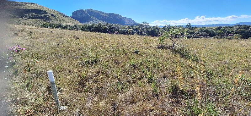 🌿 LINDA GLEBA EM CONDOMÍNIO FECHADO – ALTO PADRÃO - Zona Rural, Alto Paraíso de Goiás [240]