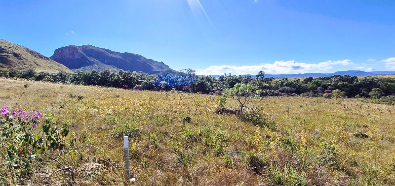 🌿 LINDA GLEBA EM CONDOMÍNIO FECHADO – ALTO PADRÃO - Zona Rural, Alto Paraíso de Goiás [240]