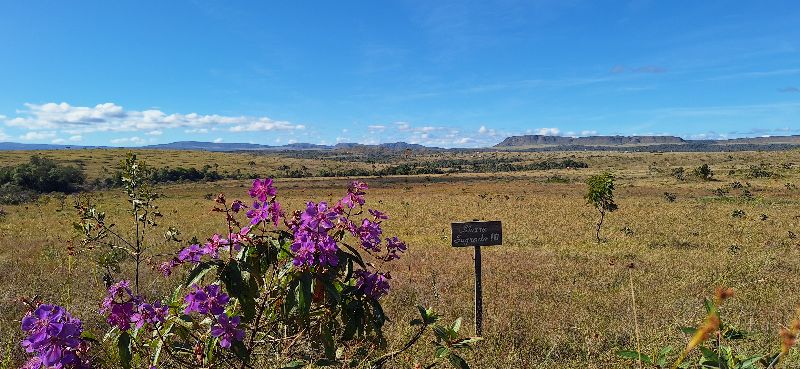 🌿 LINDA GLEBA EM CONDOMÍNIO FECHADO – ALTO PADRÃO - Zona Rural, Alto Paraíso de Goiás [240]