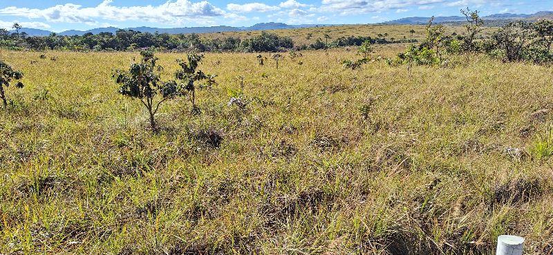 🌿 LINDA GLEBA EM CONDOMÍNIO FECHADO – ALTO PADRÃO - Zona Rural, Alto Paraíso de Goiás [240]