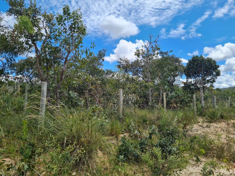 🌿 OPORTUNIDADE NA CHAPADA DOS VEADEIROS 🌿 - Eldorado, Alto Paraíso de Goiás [241]