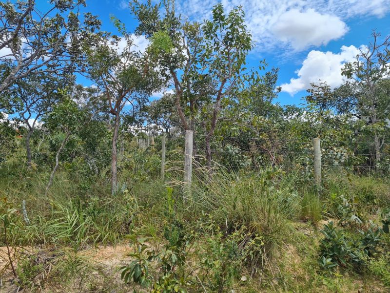 🌿 OPORTUNIDADE NA CHAPADA DOS VEADEIROS 🌿 - Eldorado, Alto Paraíso de Goiás [241]