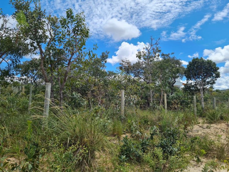 🌿 OPORTUNIDADE NA CHAPADA DOS VEADEIROS 🌿 - Eldorado, Alto Paraíso de Goiás [241]