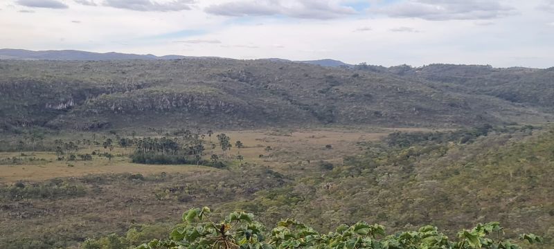 🌿 FAZENDA FLOR DA MATA – UM VERDADEIRO PARAÍSO NA CHAPADA 🌿 - Centro, Alto Paraíso de Goiás [249]