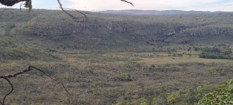 🌿 FAZENDA FLOR DA MATA – UM VERDADEIRO PARAÍSO NA CHAPADA 🌿 - Centro, Alto Paraíso de Goiás [249]