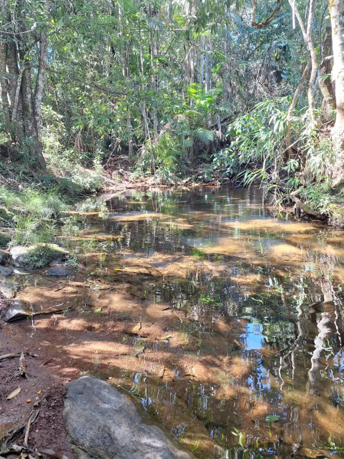 🏡✨ BELÍSSIMA CASA DE ALTO PADRÃO EM MEIO À NATUREZA 🌿 - Zona Rural, Alto Paraíso de Goiás [243]