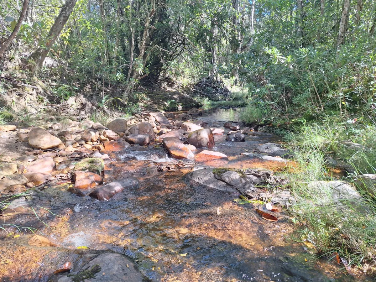 🏡✨ BELÍSSIMA CASA DE ALTO PADRÃO EM MEIO À NATUREZA 🌿 - Zona Rural, Alto Paraíso de Goiás [243]