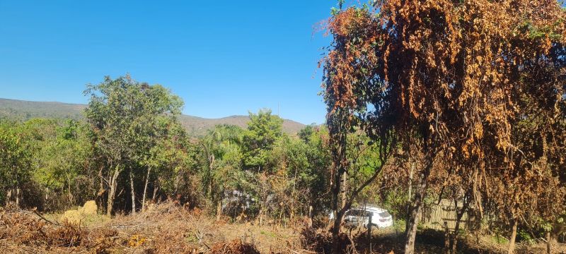 🏡 LINDO LOTE EM ÁREA NOBRE – EXCELENTE OPORTUNIDADE! - Estância Paraíso, Alto Paraíso de Goiás [261]