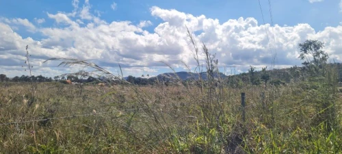 Imagem de 🌿 Excelente Oportunidade na Chapada dos Veadeiros! 🌄