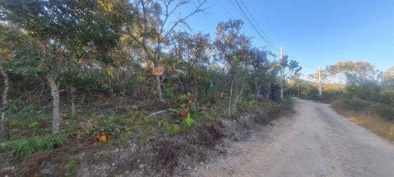 🌿 Excelente Oportunidade na Chapada dos Veadeiros! 🌄 - Eldorado, Alto Paraíso de Goiás [264]