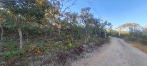 Imagem de 🌿 Excelente Oportunidade na Chapada dos Veadeiros! 🌄