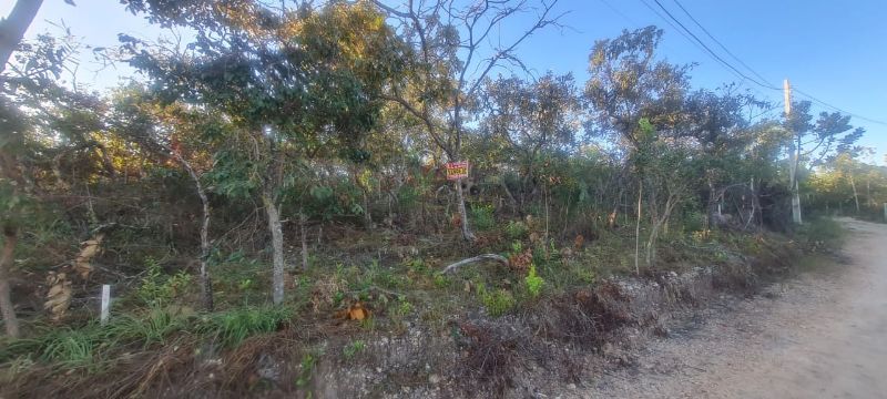 🌿 Excelente Oportunidade na Chapada dos Veadeiros! 🌄 - Eldorado, Alto Paraíso de Goiás [264]