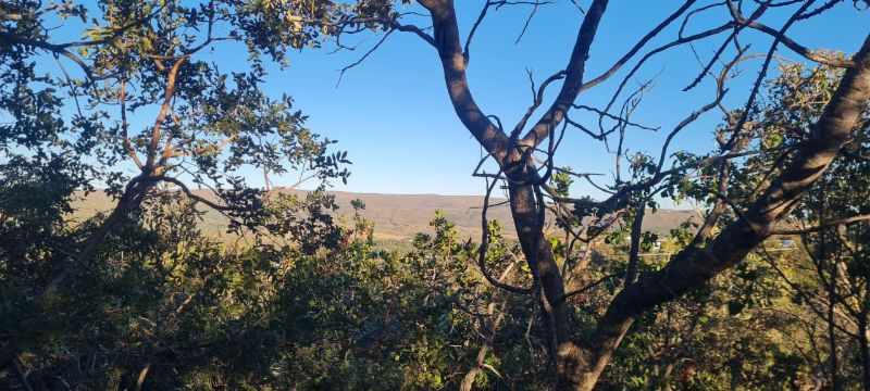 🌿 Excelente Oportunidade na Chapada dos Veadeiros! 🌄 - Eldorado, Alto Paraíso de Goiás [264]