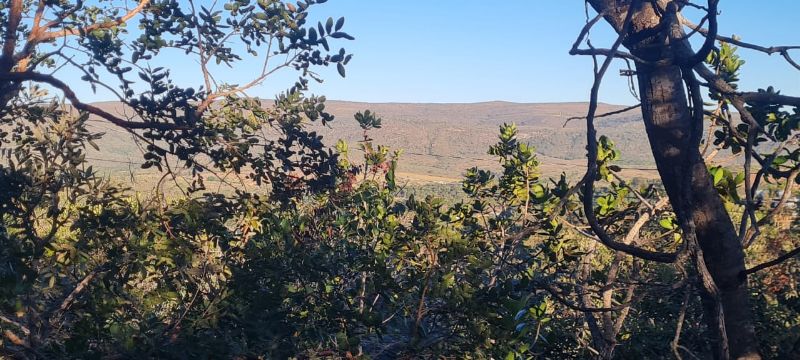 🌿 Excelente Oportunidade na Chapada dos Veadeiros! 🌄 - Eldorado, Alto Paraíso de Goiás [264]