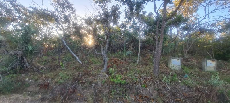 🌿 Excelente Oportunidade na Chapada dos Veadeiros! 🌄 - Eldorado, Alto Paraíso de Goiás [264]