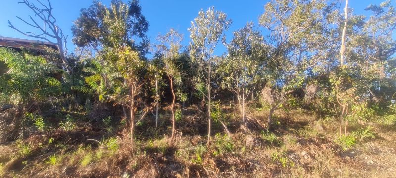 🌿 Excelente Oportunidade na Chapada dos Veadeiros! 🌄 - Eldorado, Alto Paraíso de Goiás [264]