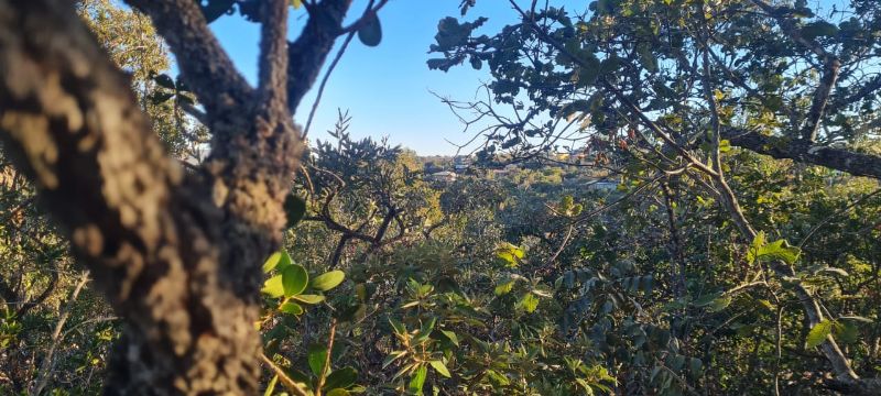 🌿 Excelente Oportunidade na Chapada dos Veadeiros! 🌄 - Eldorado, Alto Paraíso de Goiás [264]