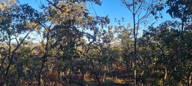 🌿 Excelente Oportunidade na Chapada dos Veadeiros! 🌄 - Eldorado, Alto Paraíso de Goiás [264]