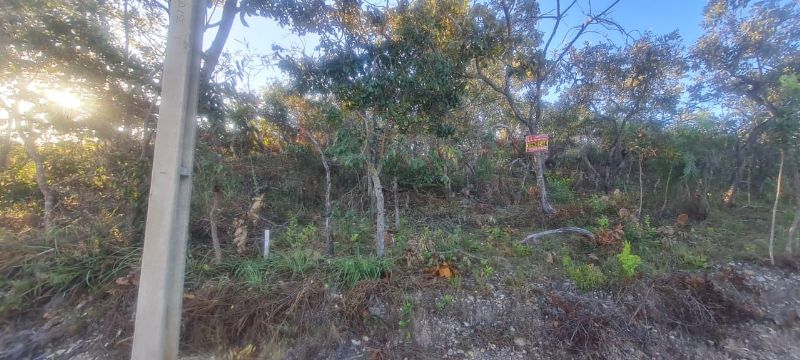 🌿 Excelente Oportunidade na Chapada dos Veadeiros! 🌄 - Eldorado, Alto Paraíso de Goiás [264]