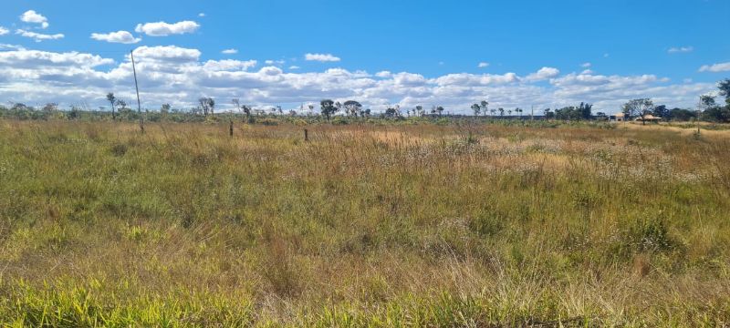 Imagem de ÓTIMA TERRA DE 4 HECTARES Á 8 KM DA CIDADE