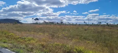 Imagem de ÓTIMA TERRA DE 4 HECTARES Á 8 KM DA CIDADE