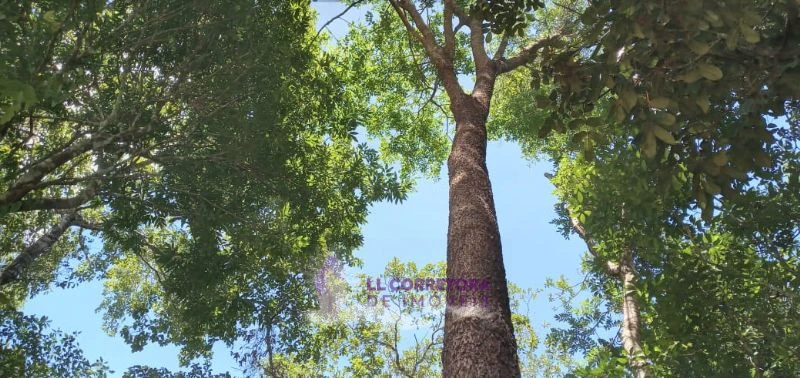 Imagem de LINDA TERRA VIZINHA AO ENCONTRO DAS ÁGUAS