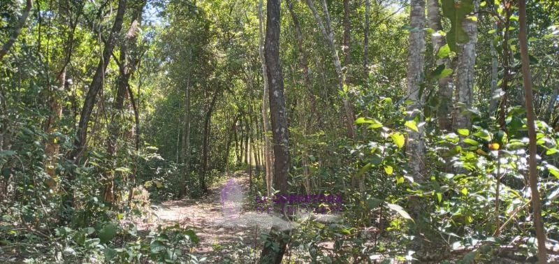 Imagem de LINDA TERRA VIZINHA AO ENCONTRO DAS ÁGUAS