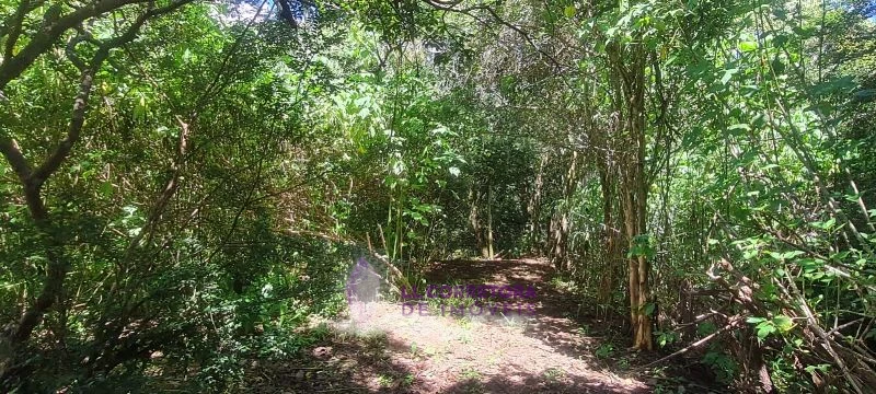 Imagem de ÓTIMO LOTE GRANDE NA AVENIDA JOÃO B. RABELO