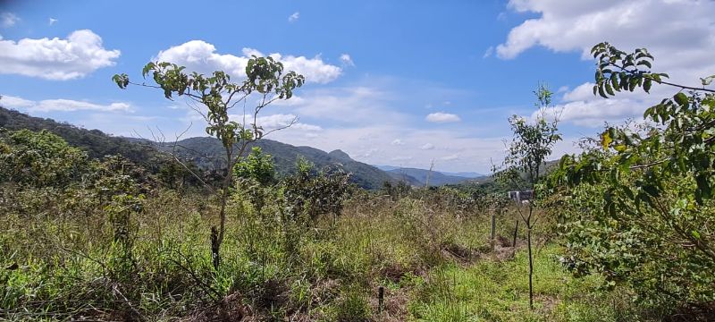 Imagem de LINDO LOTE COM VISTA PARA AS MONTANHAS