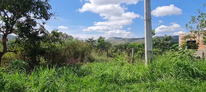 Imagem de LINDO LOTE COM VISTA PARA AS MONTANHAS