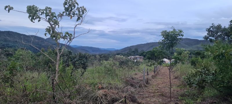 Imagem de LINDO LOTE COM VISTA PARA AS MONTANHAS