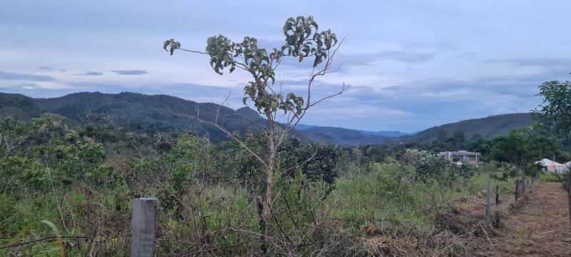 Imagem de LINDO LOTE COM VISTA PARA AS MONTANHAS