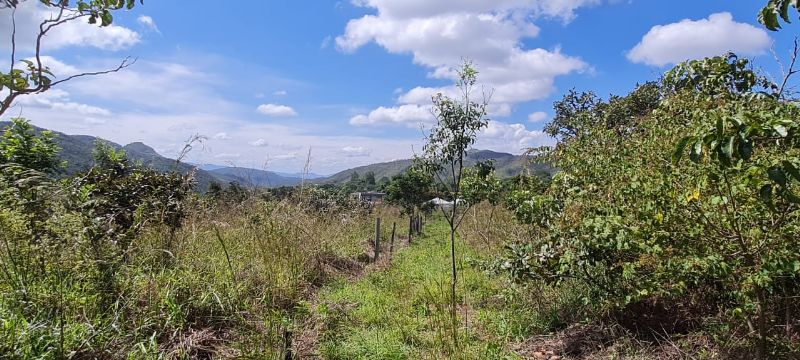 Imagem de LINDO LOTE COM VISTA PARA AS MONTANHAS