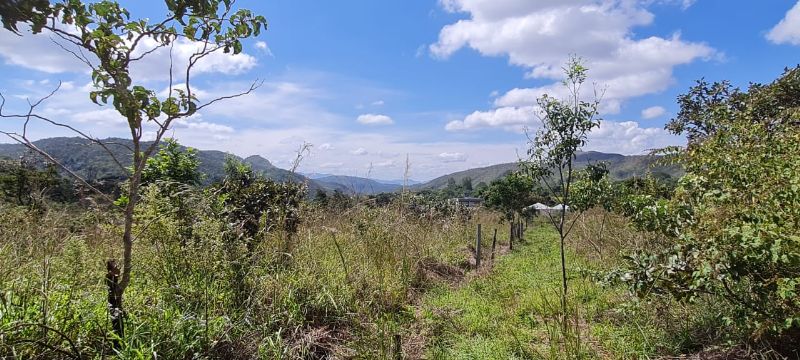 Imagem de LINDO LOTE COM VISTA PARA AS MONTANHAS