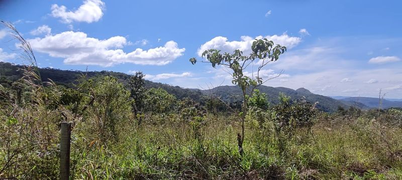 Imagem de LINDO LOTE COM VISTA PARA AS MONTANHAS