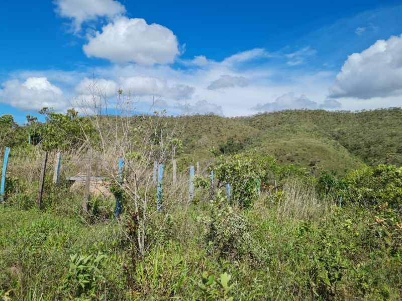 Imagem de LINDO LOTE EM CIMA DO MORRO