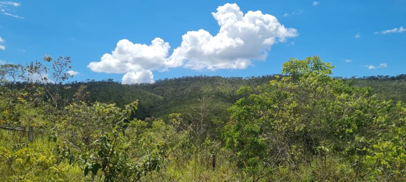 Imagem de LINDO LOTE EM CIMA DO MORRO