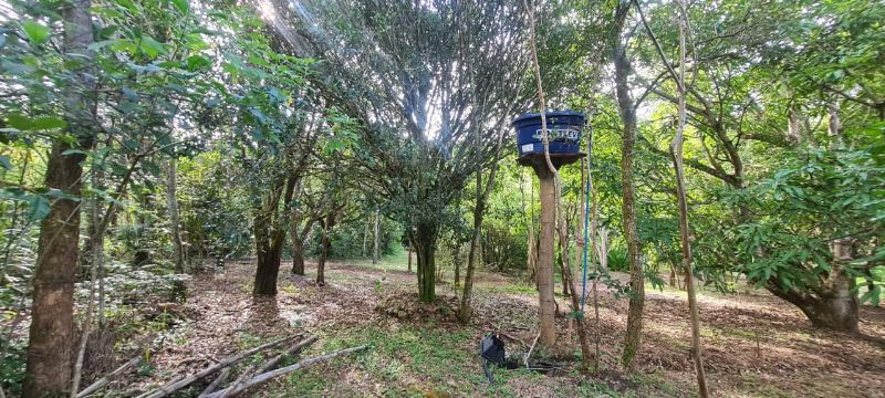 Imagem de EXCELENTE OPORTUNIDADE NA CHAPADA