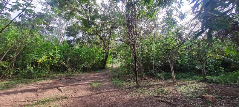 Imagem de EXCELENTE OPORTUNIDADE NA CHAPADA