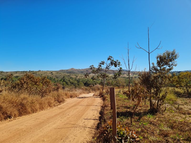 Imagem de LINDO LOTE COM VISTA