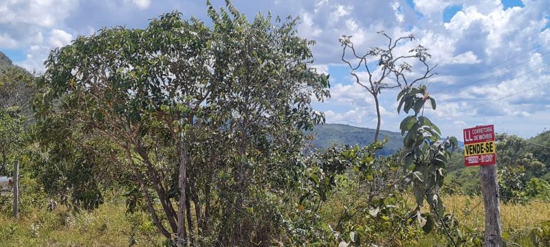 Imagem de LINDO LOTE EM CIMA DO MORRO