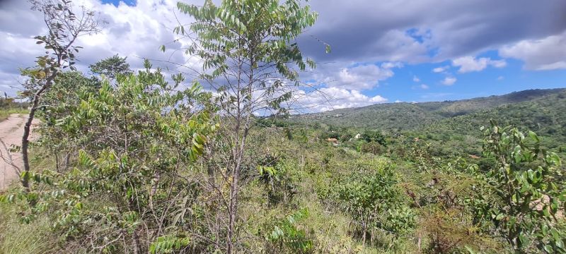 Imagem de LINDO LOTE EM CIMA DO MORRO