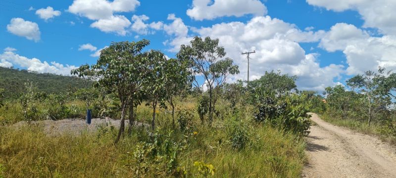 Imagem de LINDO LOTE EM CIMA DO MORRO